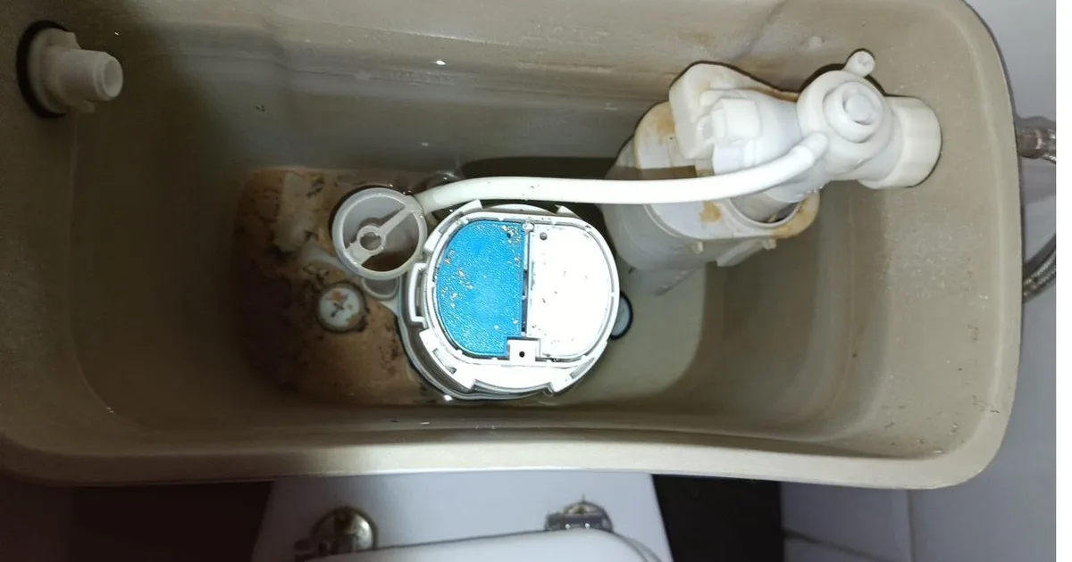 Interior de cisterna de WC con mecanismo y residuos