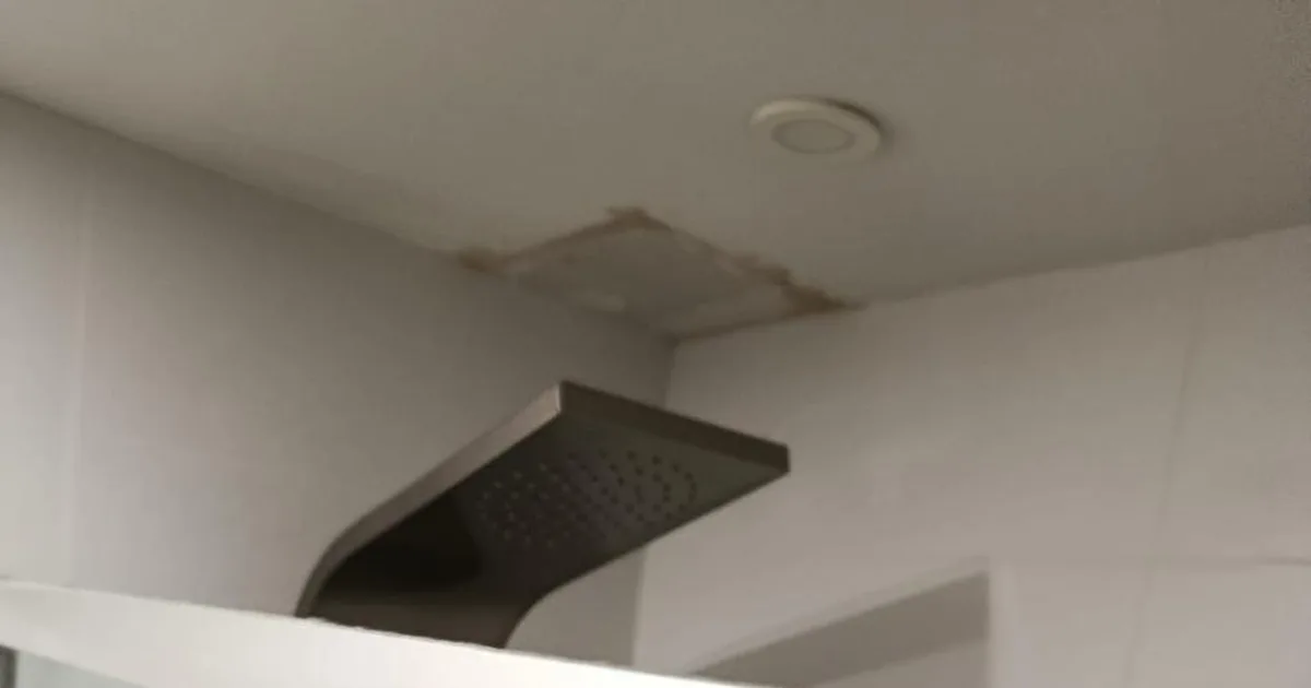 Cabezal de ducha tipo cascada en baño reformado